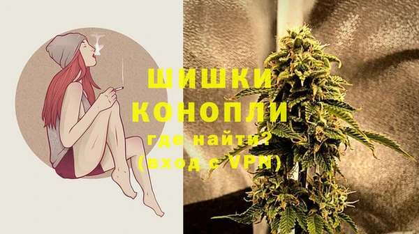 PSILOCYBIN Дмитриев