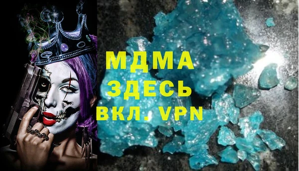 PSILOCYBIN Дмитриев