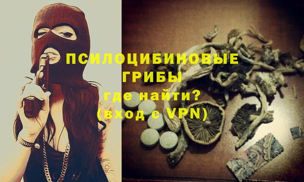 PSILOCYBIN Дмитриев