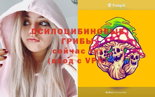 твердый Дмитровск