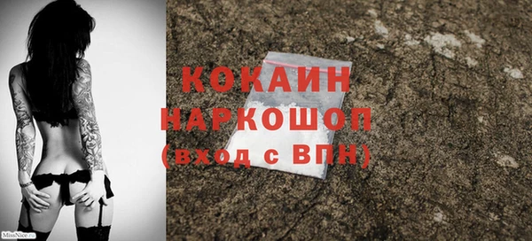 твердый Дмитровск