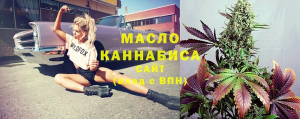 твердый Дмитровск