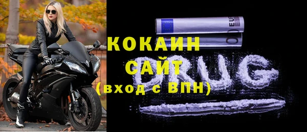 твердый Дмитровск