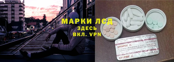 PSILOCYBIN Дмитриев
