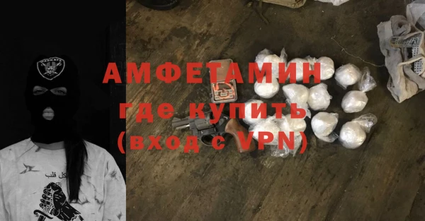 твердый Дмитровск
