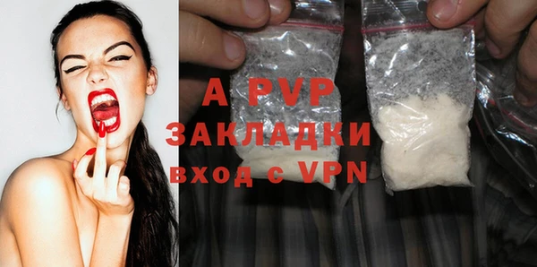 PSILOCYBIN Дмитриев